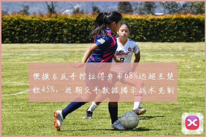 樊振东反手拧拉得分率68%远超王楚钦45%,近期交手数据揭示战术克制